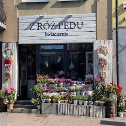Z Róż Pędu (Skała )