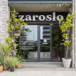 Zarosło (Wrocław )