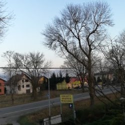 Zawadka Wiesława. Produkcja Ogrodnicza I Handel Kwiatami (Garwolin )