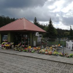 Zielona Kwiaciarnia Przy Ul. Oławskiej (Namysłów en Merlo San Luis)