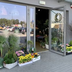 Zielsko Kwiaciarnia - Kwiaciarnia W Otwocku (Otwock )