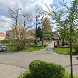 Złocień (Opole )