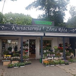 Złota Róża (Poznań )