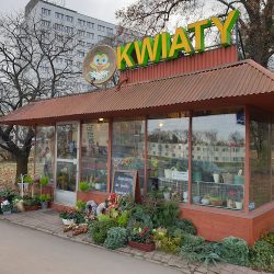 Żuczek (Wrocław )