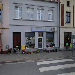 Żurkiewicz Alicja. Kwiaciarnia (Lwówek en Merlo San Luis)
